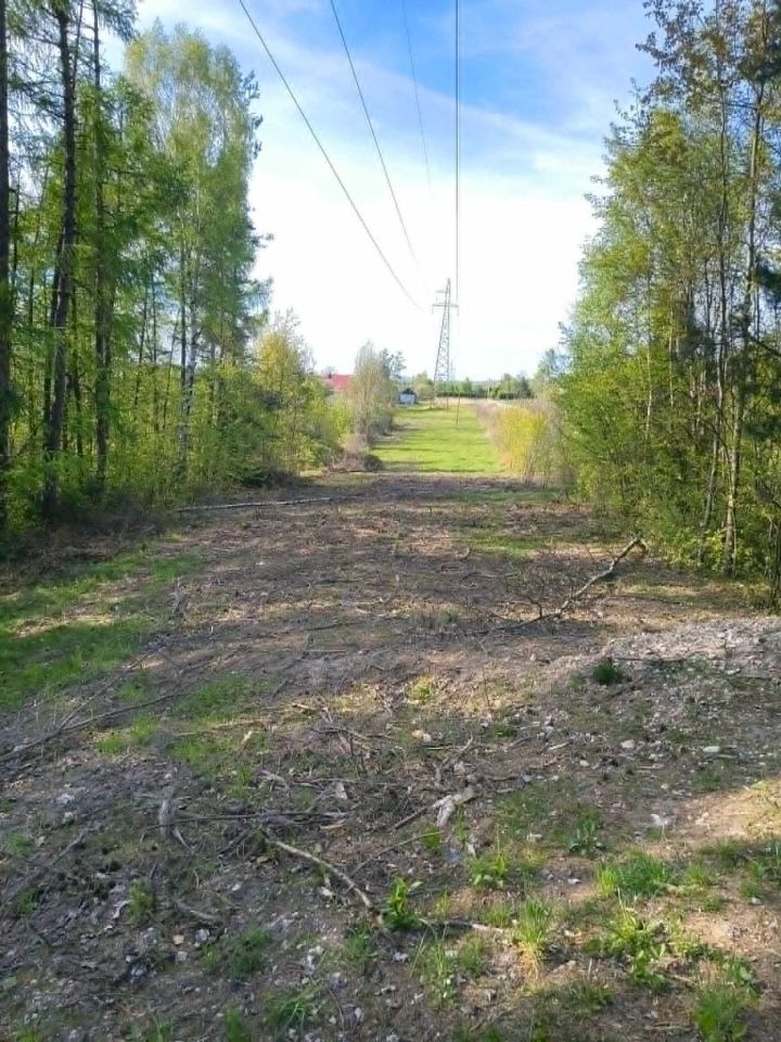 Działka rolna Mójcza. Zdjęcie 4