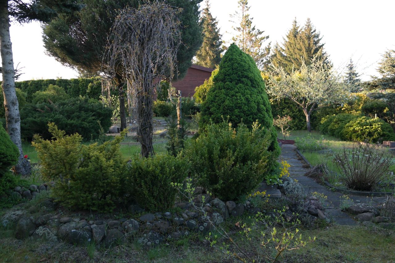 Działka rod Niewodnica Kościelna, ul. Działkowców. Zdjęcie 24