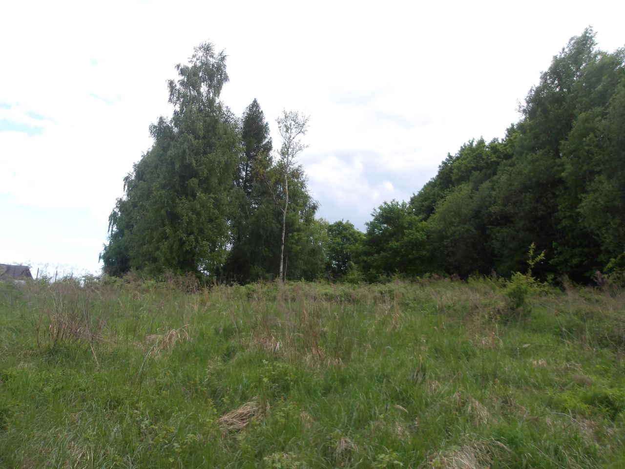 Działka rekreacyjna Kobylany Łączki, ul. Konwaliowa. Zdjęcie 4
