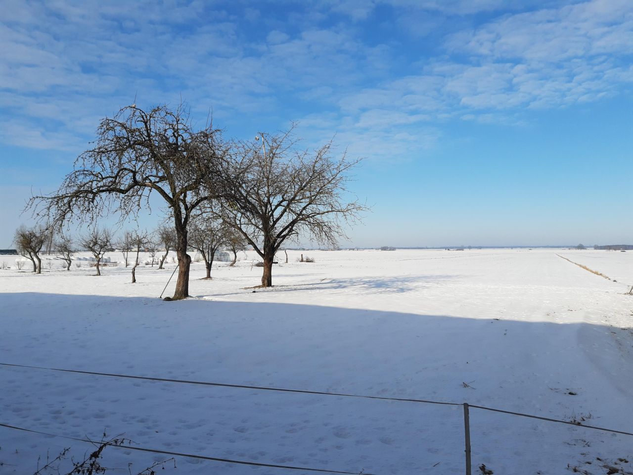 gospodarstwo Sługocice, brak. Zdjęcie 9