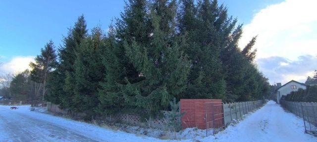 Działka budowlana Aleksandrów. Zdjęcie 1