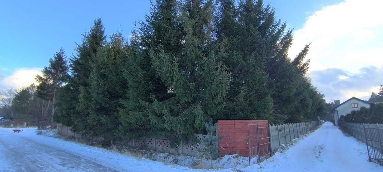 Działka budowlana Aleksandrów. Zdjęcie 1