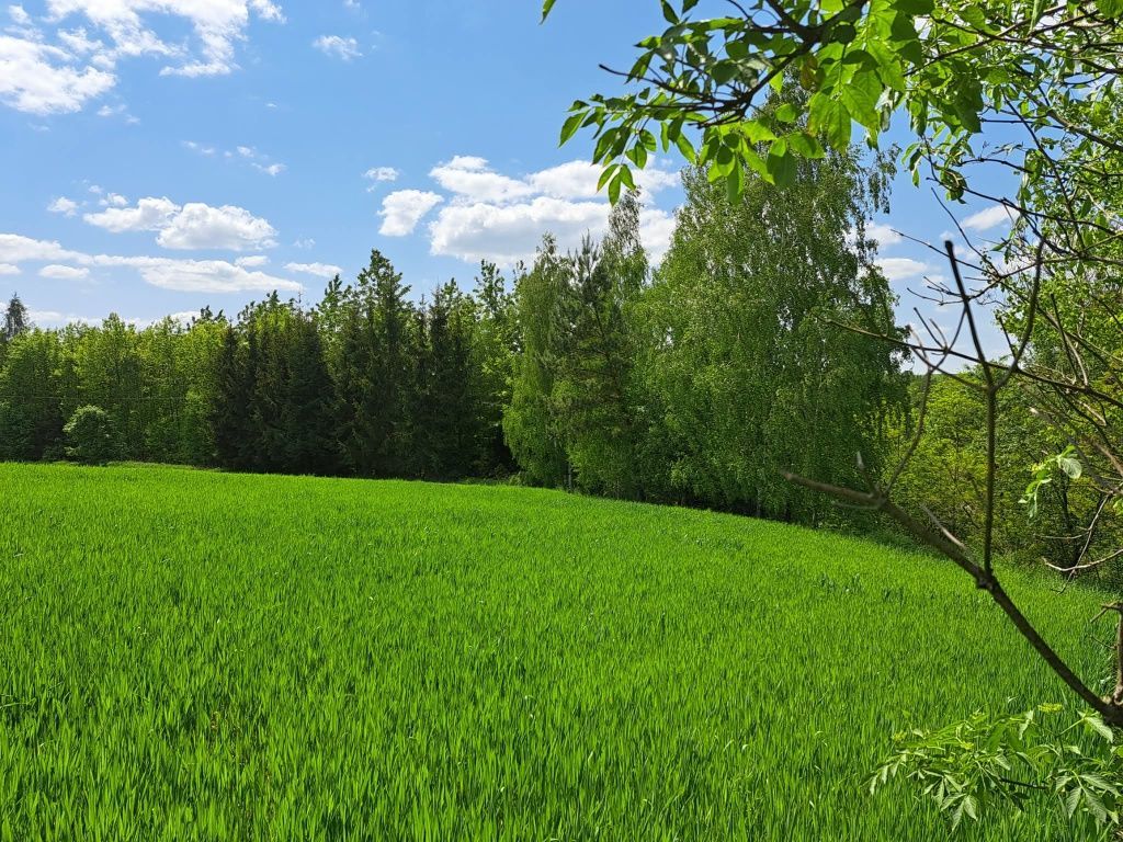 Działka rolna Antoniówka. Zdjęcie 6