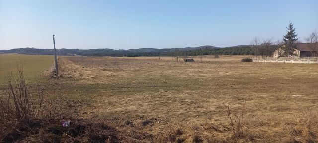 Działka rolno-budowlana Zawiercie Żerkowice, ul. Grobla. Zdjęcie 1