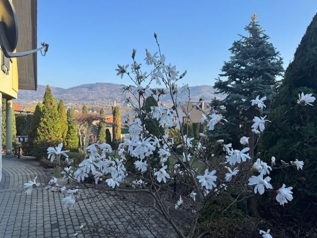 dom wolnostojący, 4 pokoje Bielsko-Biała Lipnik, Władysława Kiernika. Zdjęcie 117