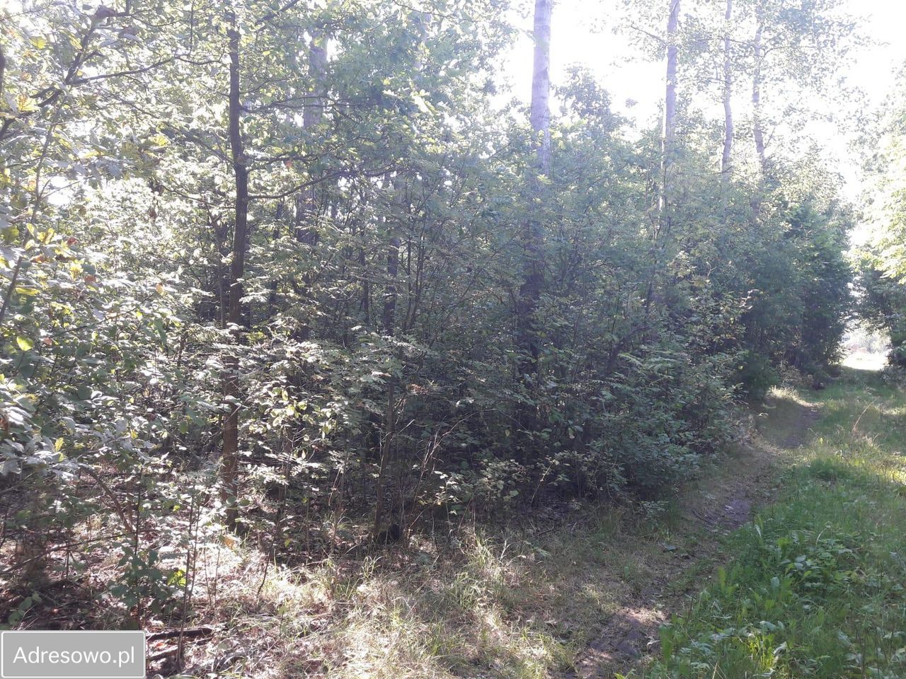 Działka rolno-budowlana Zabłudów. Zdjęcie 7