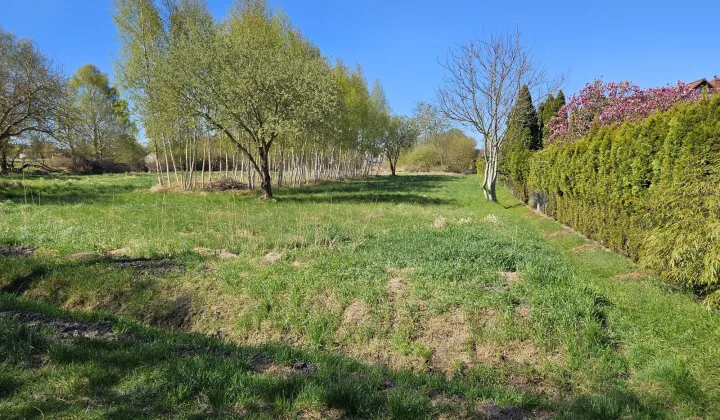 Działka budowlana Trzebież, ul. Brzozowa