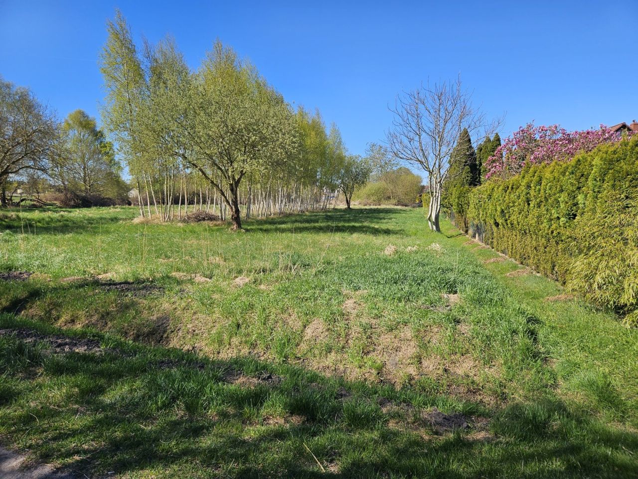 Działka budowlana Trzebież, ul. Brzozowa. Zdjęcie 1