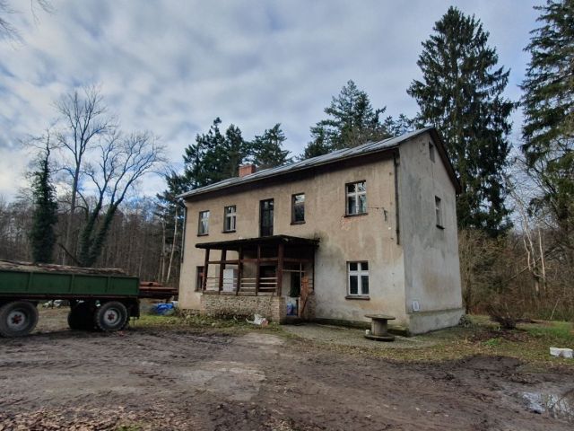gospodarstwo Podwilcze. Zdjęcie 1