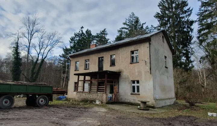 gospodarstwo Podwilcze