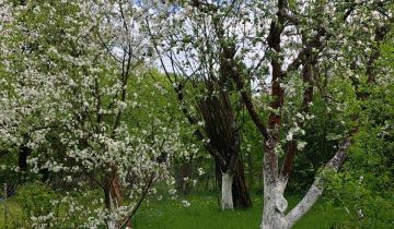 Działka rod Prusy, ul. Krajobrazowa