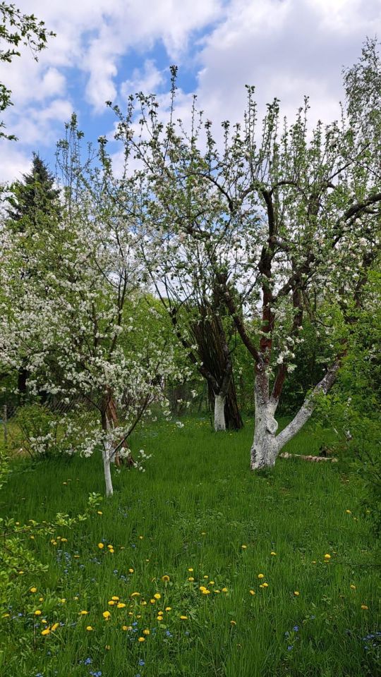 Działka rod Prusy, ul. Krajobrazowa. Zdjęcie 2