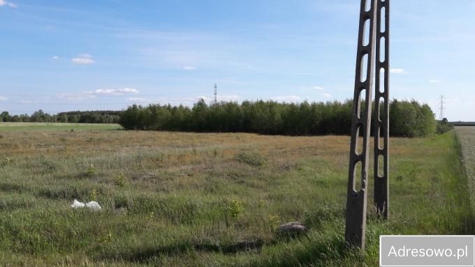 Działka siedliskowa Rosy. Zdjęcie 14