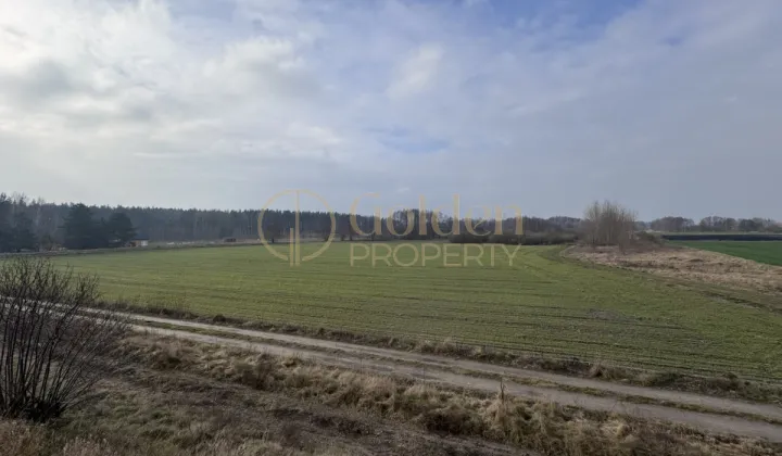 Działka budowlana Ryjewo