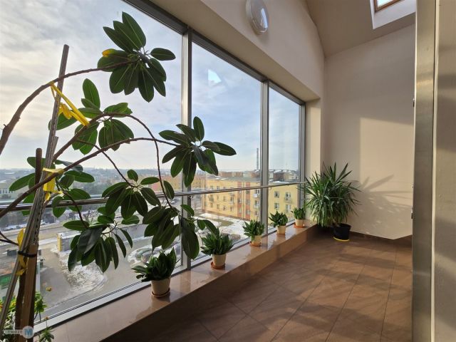 Mieszkanie 4-pokojowe Jędrzejów. Zdjęcie 10