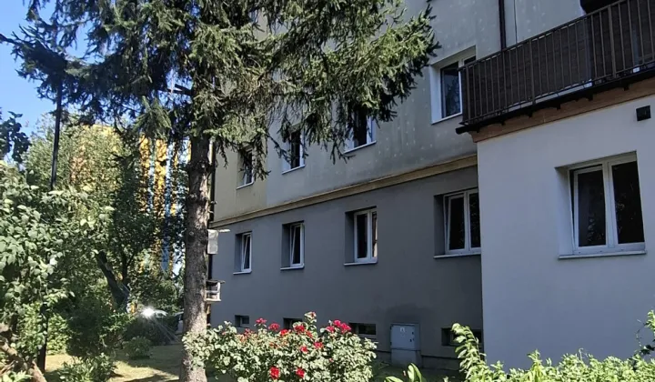 Mieszkanie 3-pokojowe Zabrze Zaborze, ul. ks. Pawła Janika