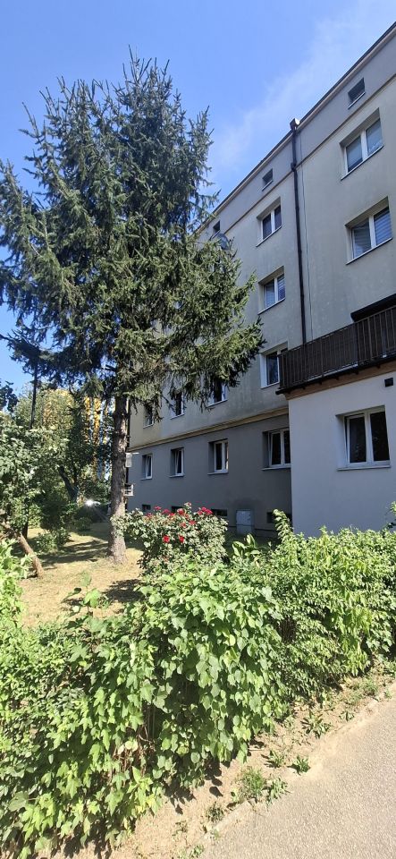 Mieszkanie 3-pokojowe Zabrze Zaborze, ul. ks. Pawła Janika. Zdjęcie 1