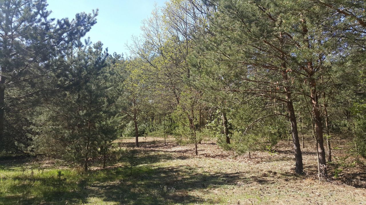 Działka budowlana Żelazna Stara. Zdjęcie 5