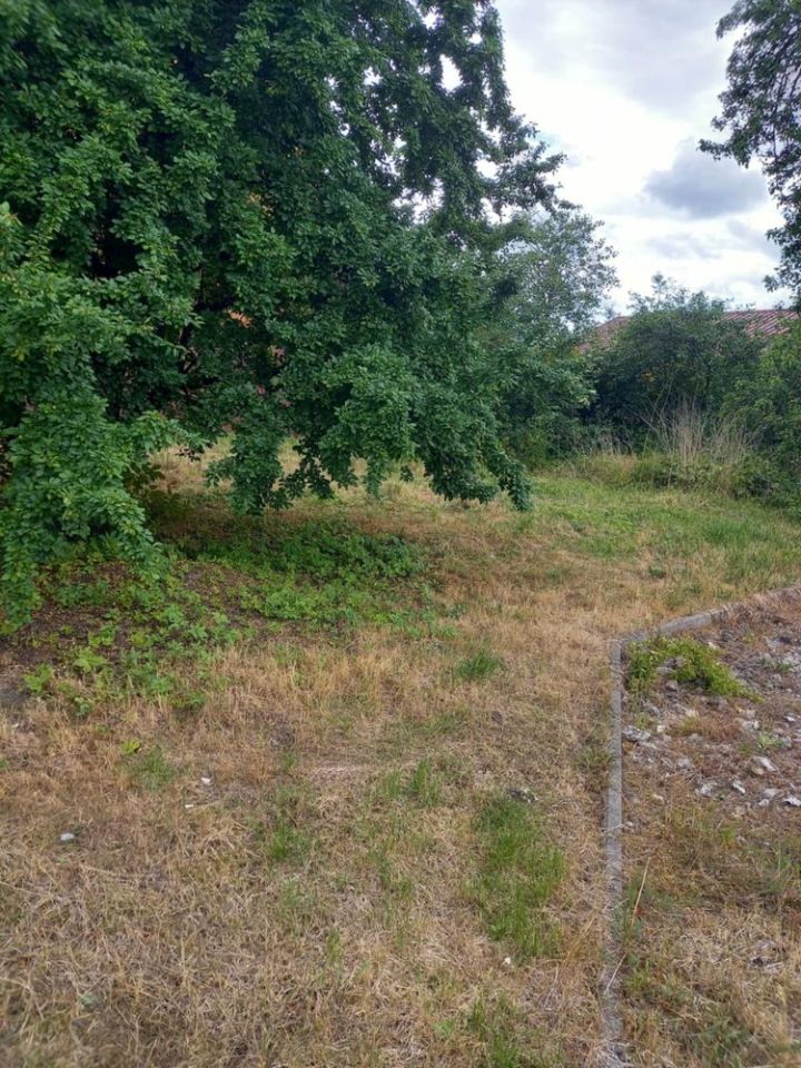 Lokal Bogusławice, ul. Kruszyńska. Zdjęcie 4