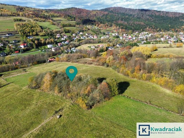 Działka rolna Rymanów-Zdrój Deszno. Zdjęcie 9