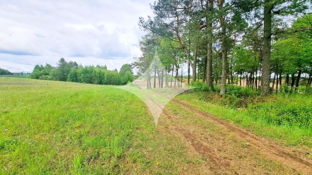Działka budowlana Dąbrówka Wielka. Zdjęcie 7