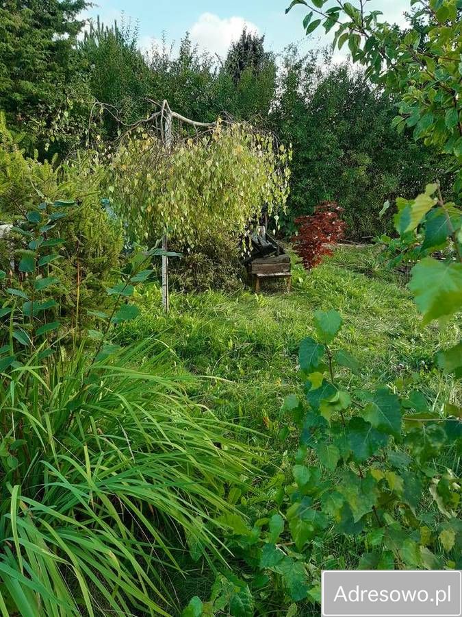 Działka rod Gdańsk Morena. Zdjęcie 8