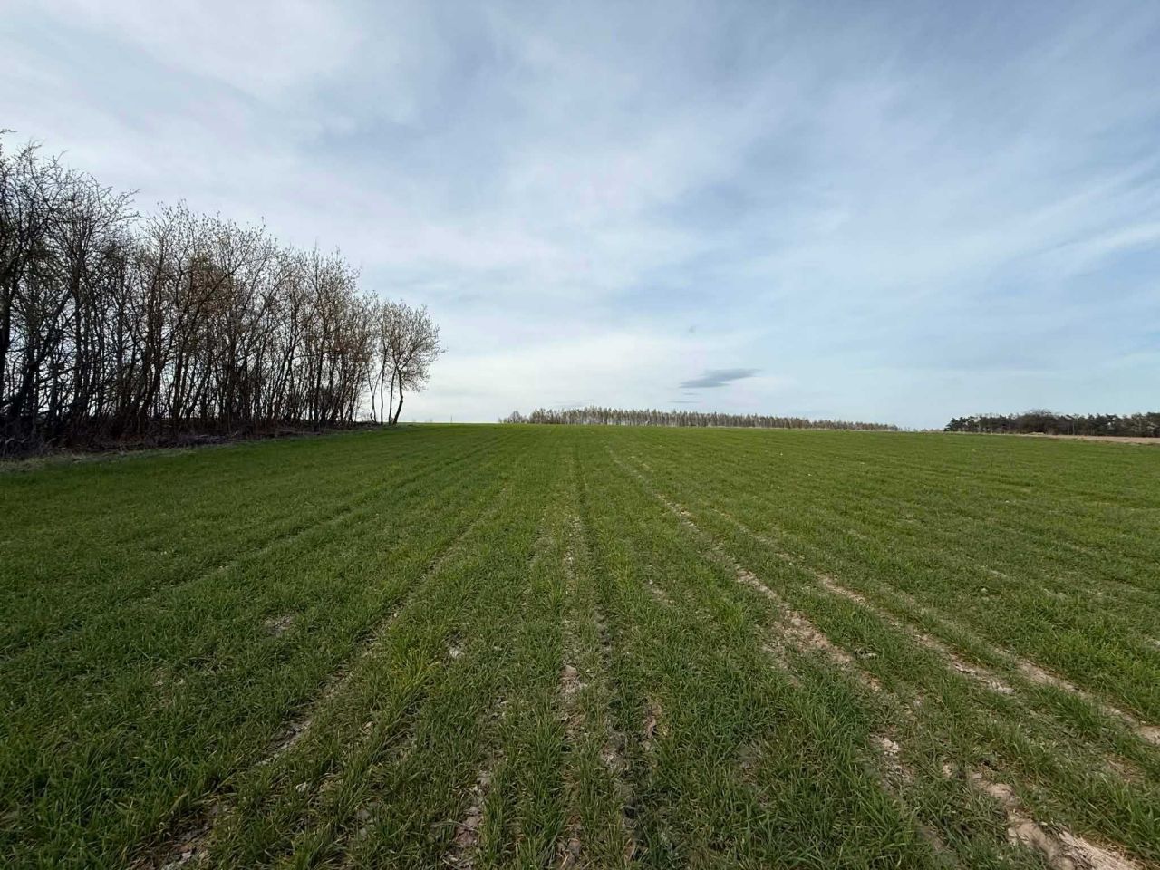 Działka budowlana Pomocnia. Zdjęcie 1