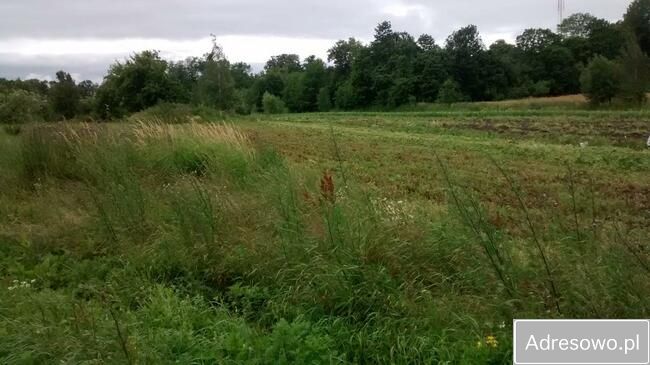 Działka inwestycyjna Bezledy. Zdjęcie 6