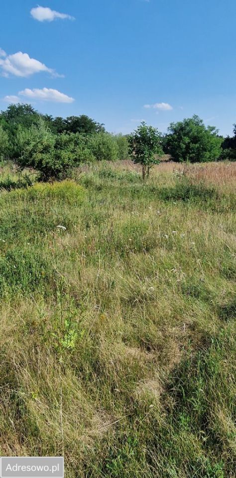 Działka inna Mogilno Duże. Zdjęcie 3