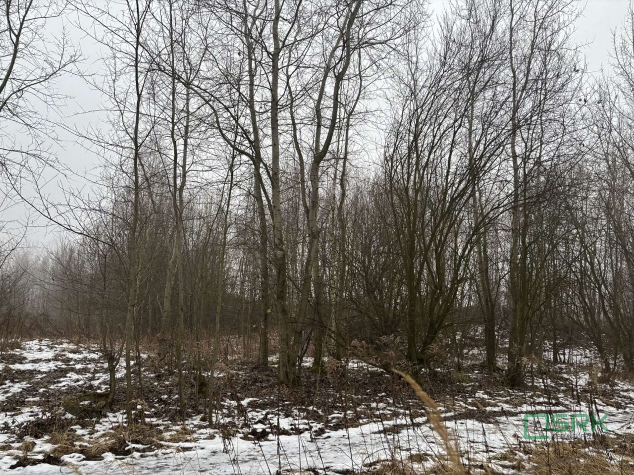 Działka inna Wodzisław Śląski, ul. Stefana Czarnieckiego. Zdjęcie 3