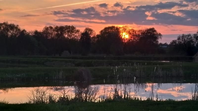 Działka rekreacyjna Kaszówka. Zdjęcie 9