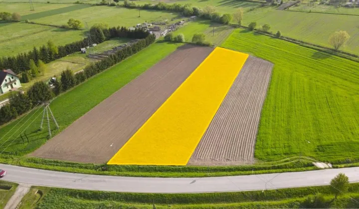 Działka budowlana Srogów Górny