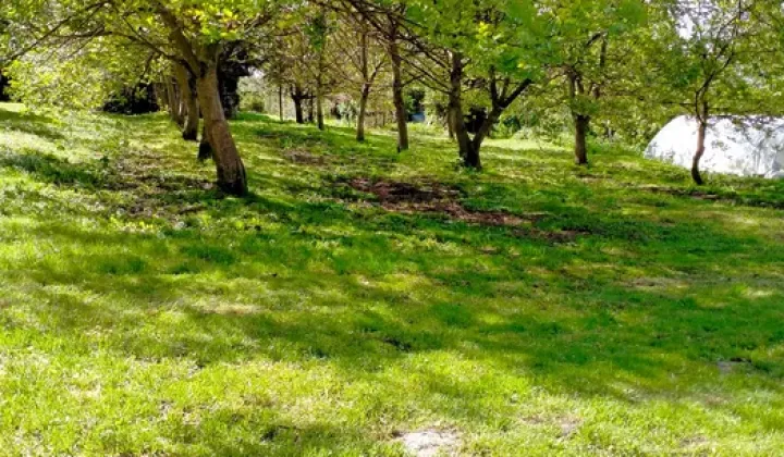 Działka budowlana Trojanowice, ul. Widokowa