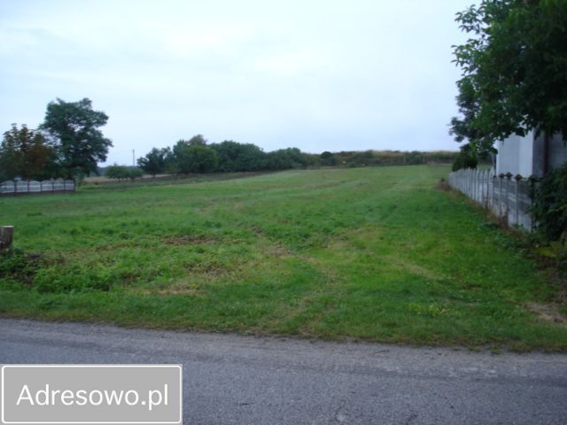 Działka budowlana Kostomłoty Drugie. Zdjęcie 4
