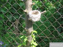 Działka rod Krasnystaw, ul. Grobla. Zdjęcie 4