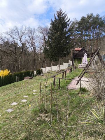 Działka rod Zielona Góra, ul. Tatrzańska. Zdjęcie 1