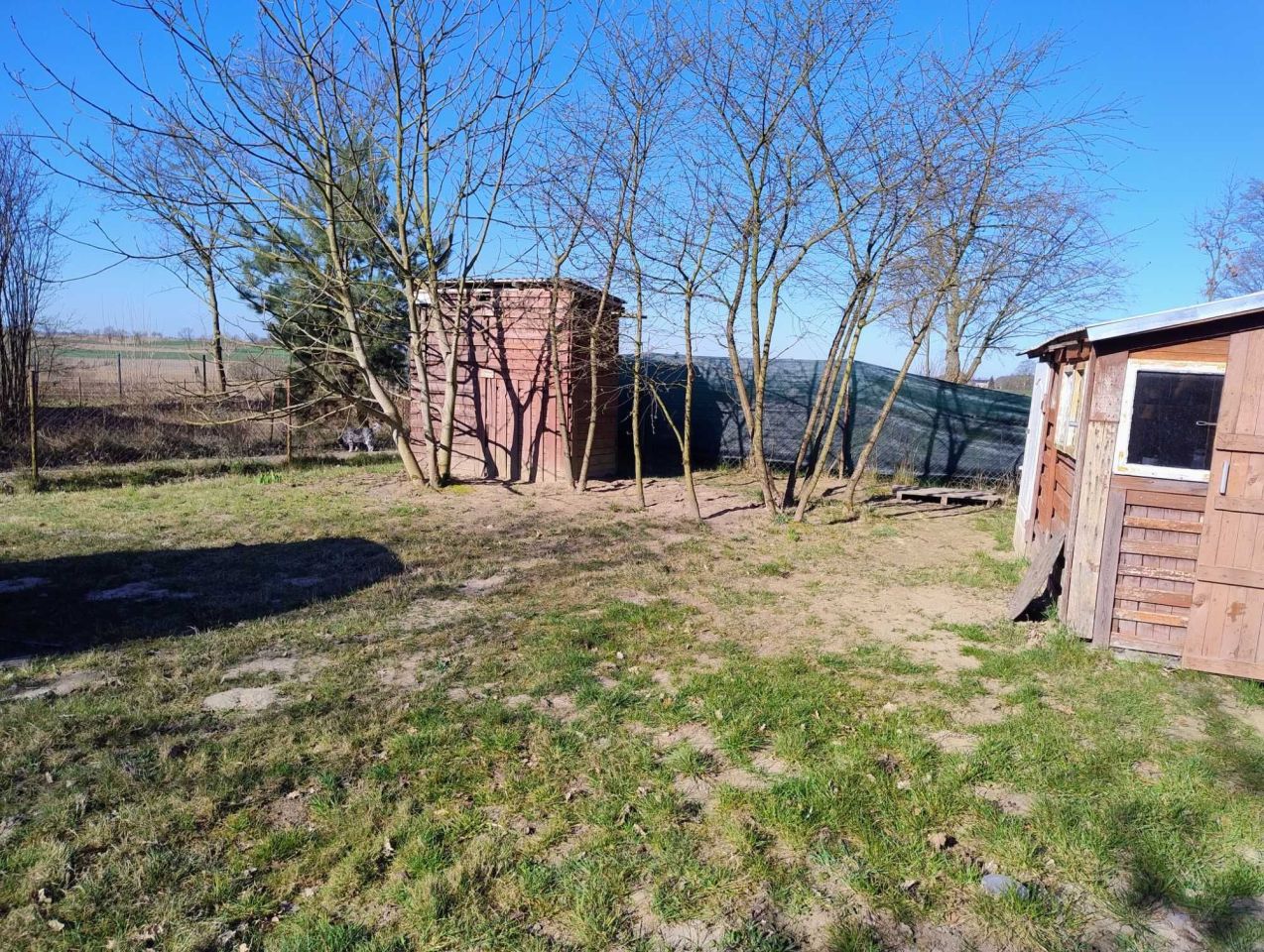 Działka rolna Wierzchucinek. Zdjęcie 6