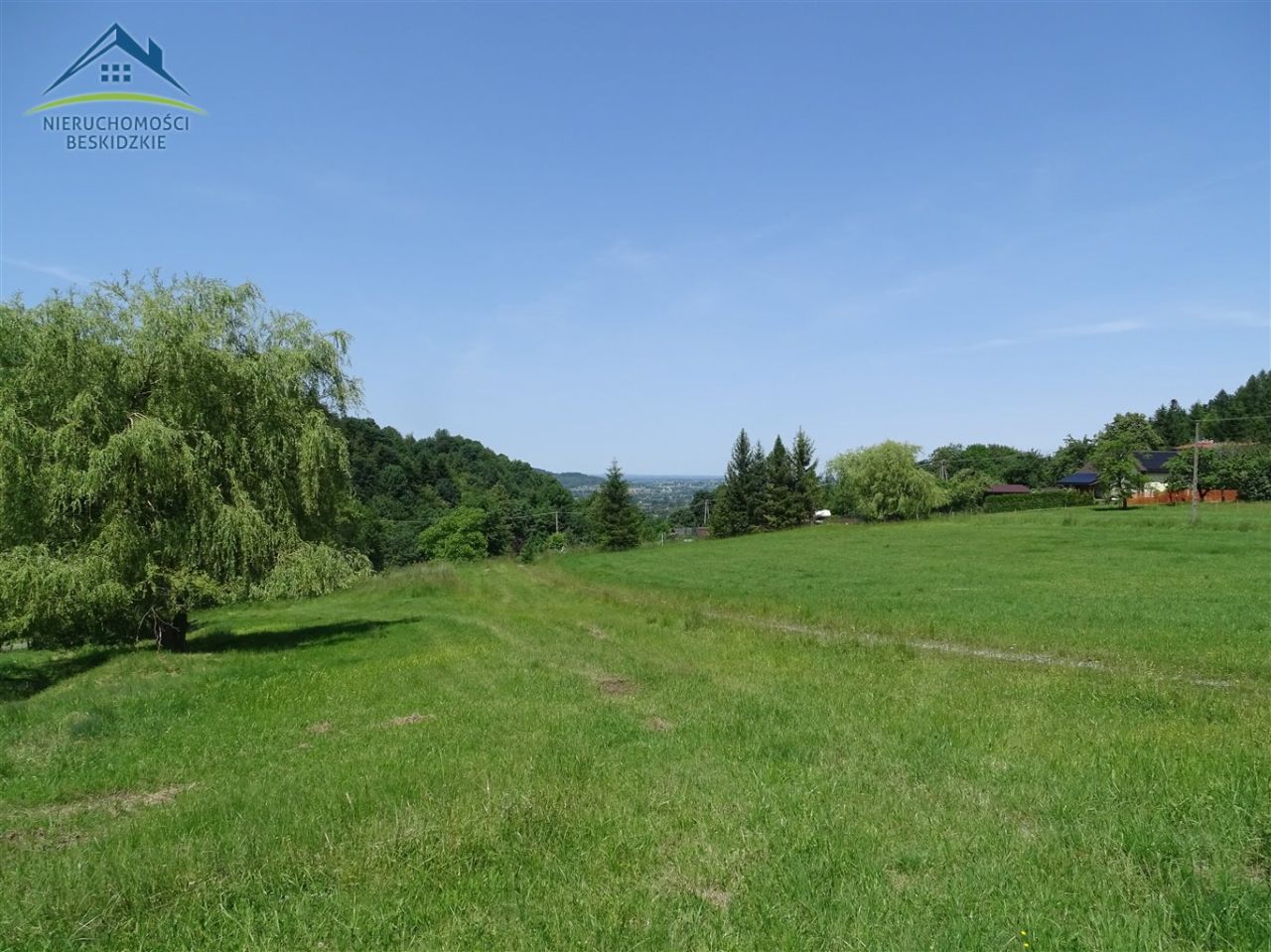 Działka rolno-budowlana Cisownica. Zdjęcie 3