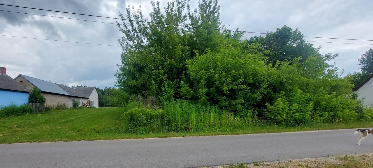 Działka budowlana Siekierka Nowa, Siekierka Nowa. Zdjęcie 3