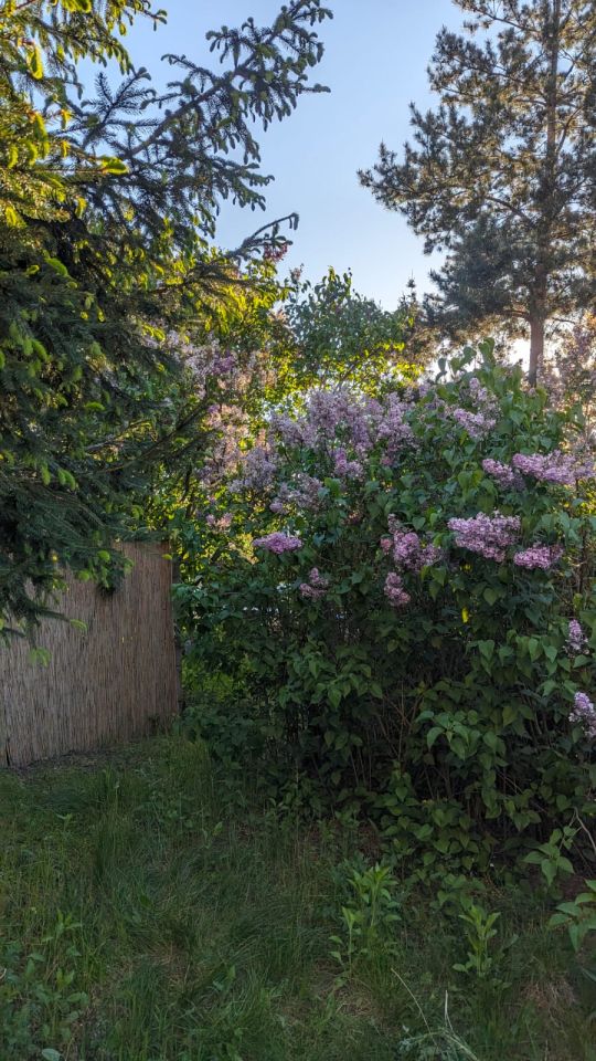 Mieszkanie 2-pokojowe Wrocław Krzyki, ul. Południowa. Zdjęcie 8