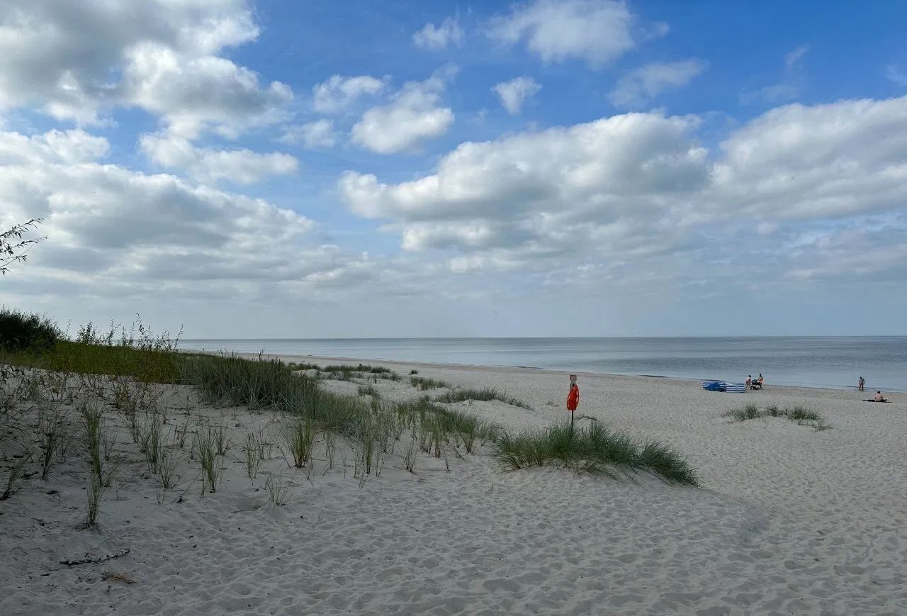 Lokal Rogowo. Zdjęcie 16