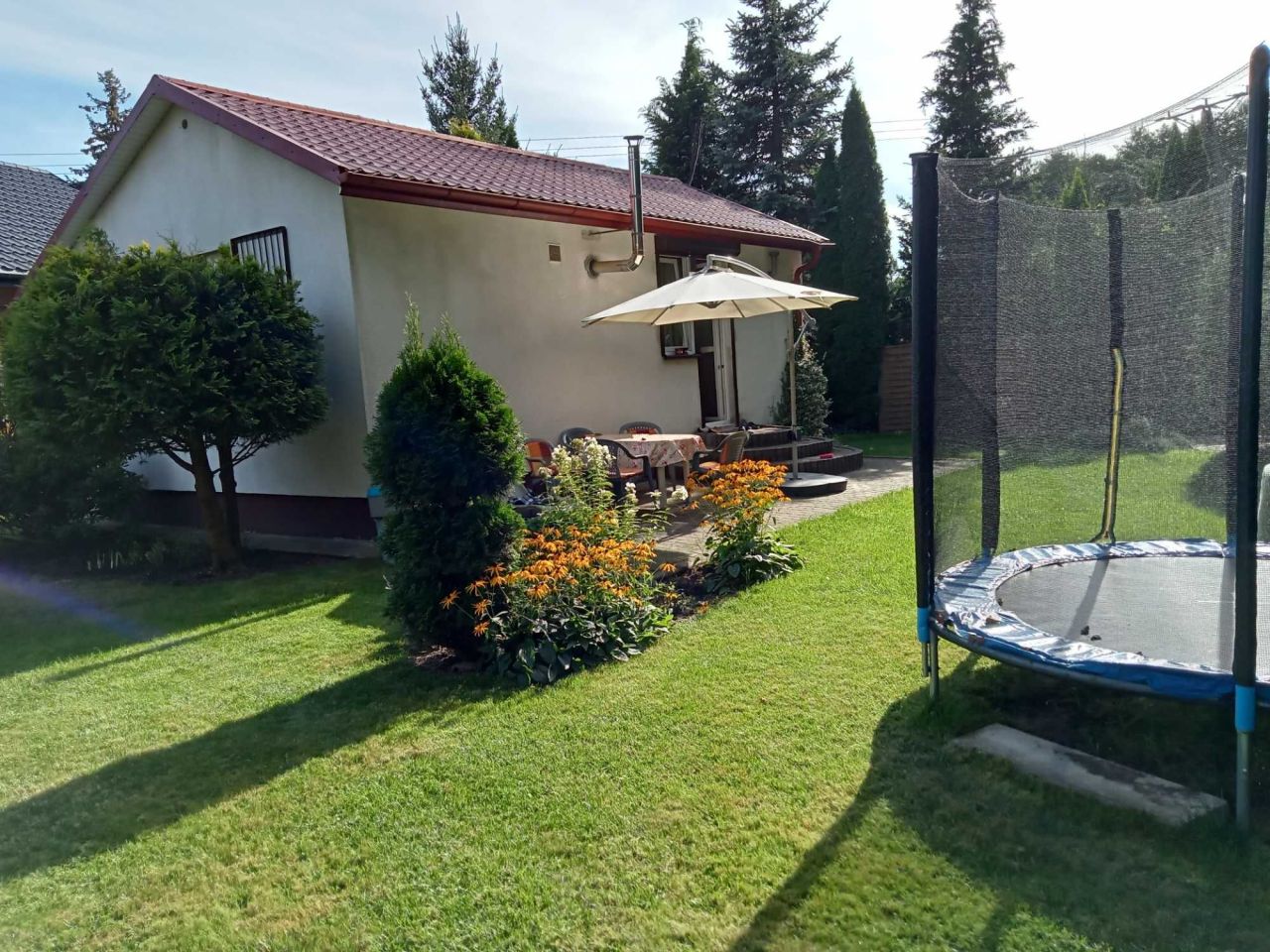 Działka rod Justynów. Zdjęcie 2