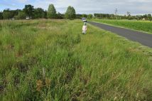 Działka budowlana Zarośle Cienkie. Zdjęcie 2