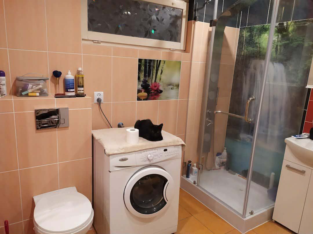 dom letniskowy, 4 pokoje Radawa, Mołodycka. Zdjęcie 15