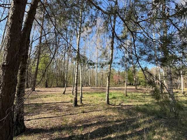 Działka budowlana Puste Łąki. Zdjęcie 4