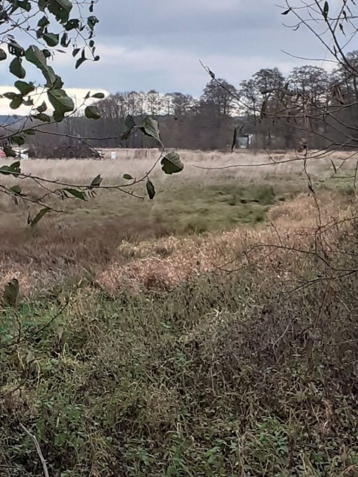 Działka budowlana Wołów Krzywy Wołów. Zdjęcie 3