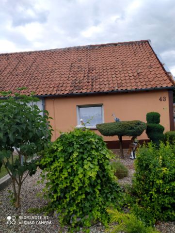 bliźniak Elbląg, ul. Wiślicka. Zdjęcie 1