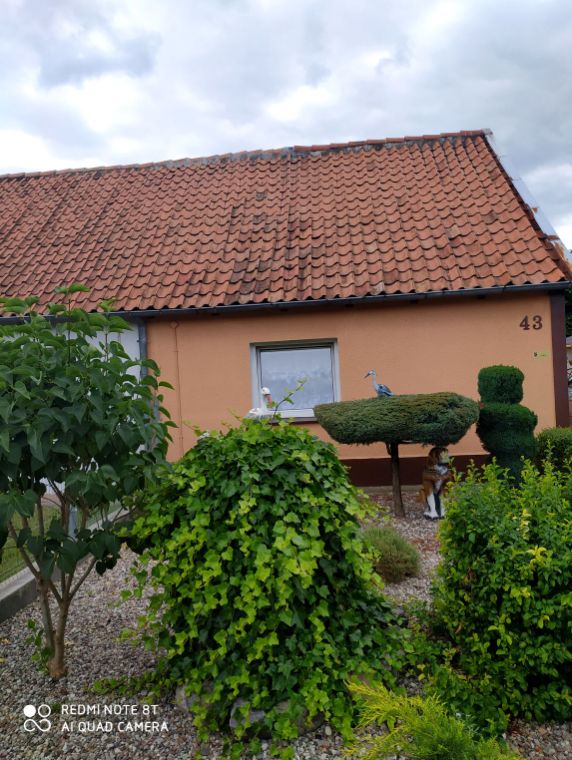 bliźniak Elbląg, ul. Wiślicka