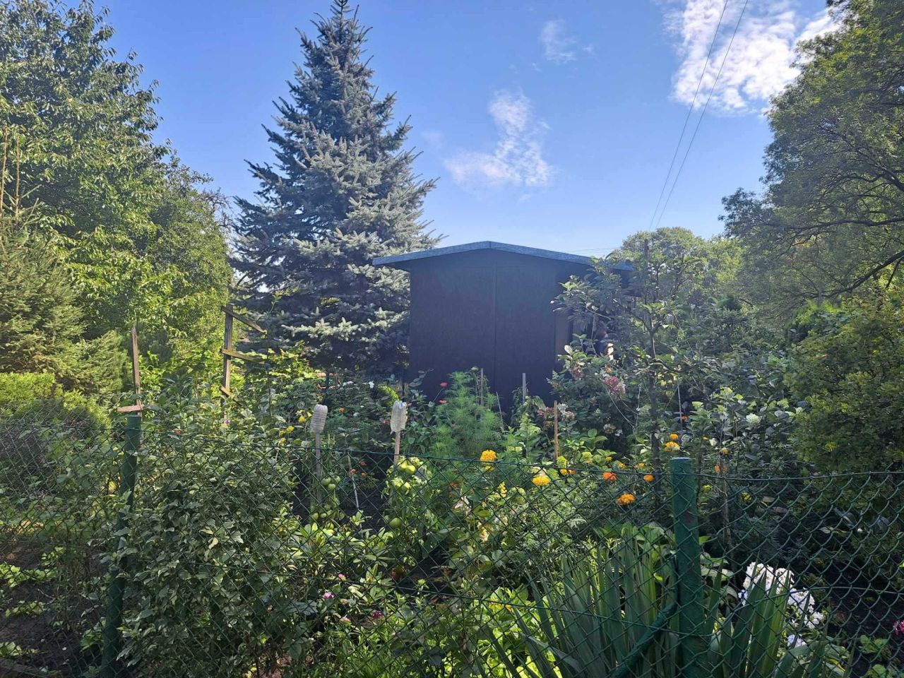 Działka rod Kluczbork, al. Pokoju. Zdjęcie 3