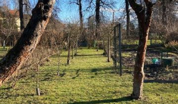 Działka rod Nysa, ul. Powstańców Śląskich